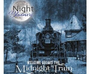 WELCOME ABOARD THE MIDNIGHT TRAIN           des Night Bluemers